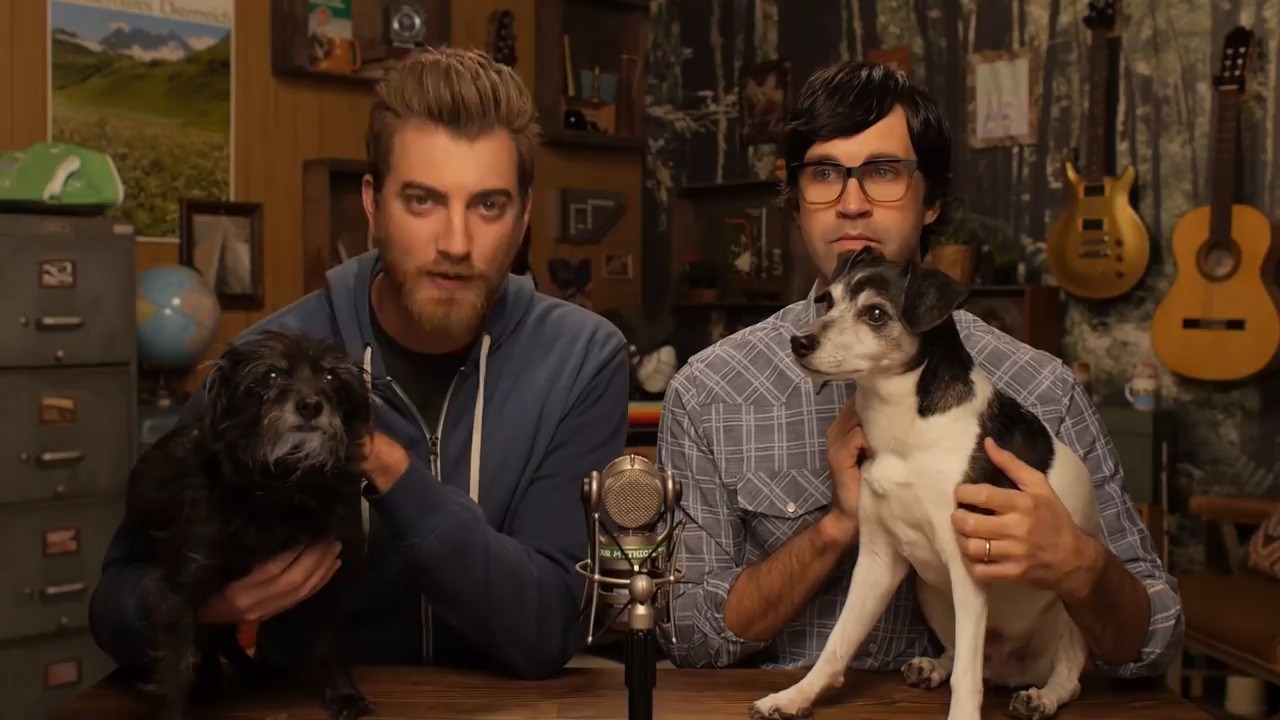 GMM 602: What Dogs Are Actually Thinking