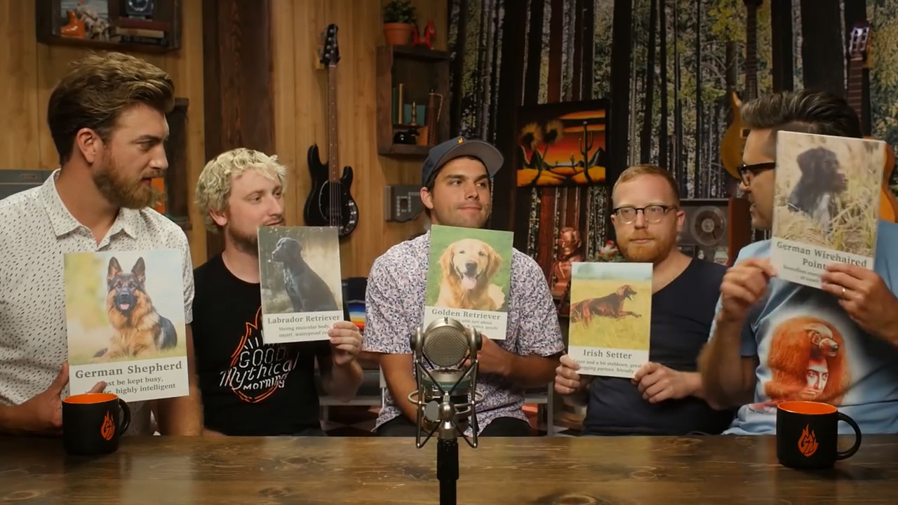 GMMore 1364: WHAT DOG ARE YOU? (TEST)