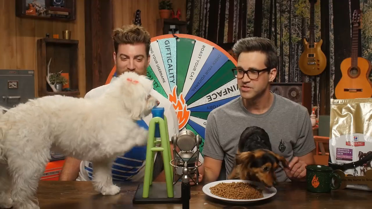 GMMore 1498: Testing a Science Kit for Dogs