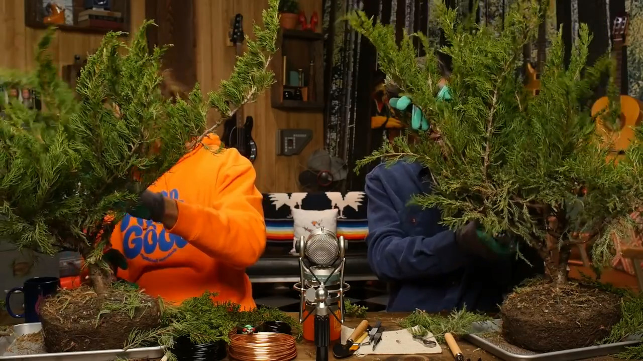 GMMore 1876: We Try Bonsai Trimming