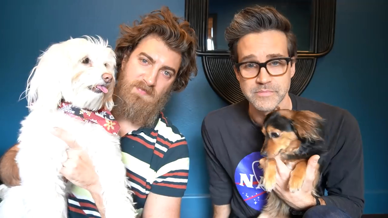 Vlog 2: Our Dogs Meet a Cat For The First Time