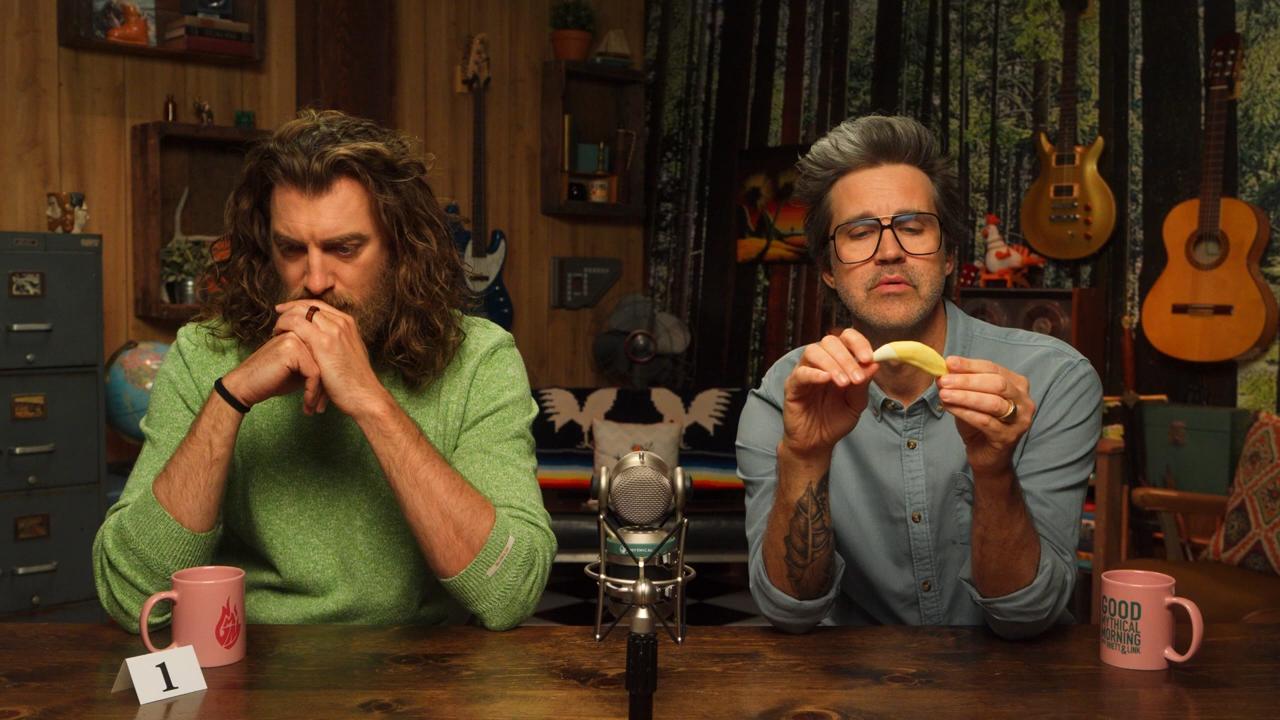 GMMore 2782: What Animal Is This Tooth From?