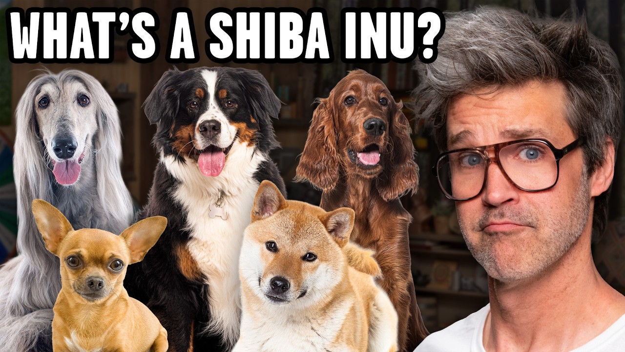 GMMore 3013: How Well Do We Know Dogs?