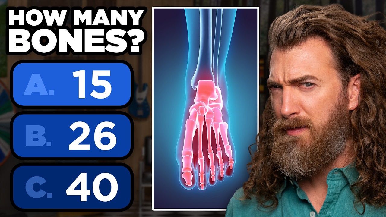 GMMore 3015: Who Can Get The Most Right?