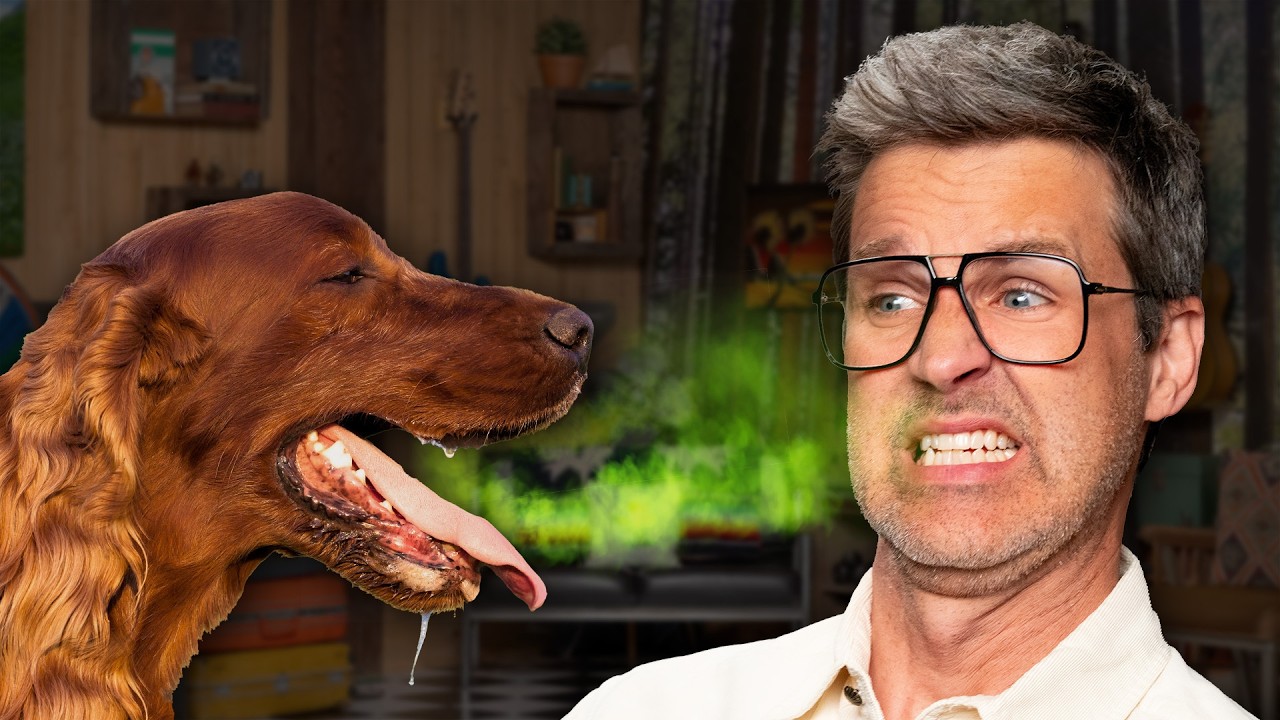 GMMore 3072: Yuck! A Dog Licked My Mouth: The Link Neal Story