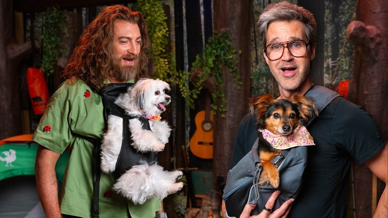 GMMore 3098: What’s The Best Dog Carrier?